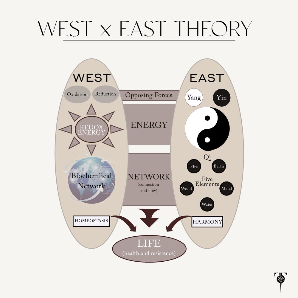 West x East Theory diagram. The Western view of redox energy, biochemical networks, and homeostasis set beside the Eastern view of yin and yang, qi, and the five elements, both pointing toward life, health, and resistance.